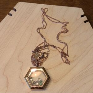 Origami Owl Rose Gold Hexagon Living Locket Necklace